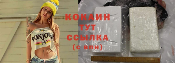 мдпв Бронницы