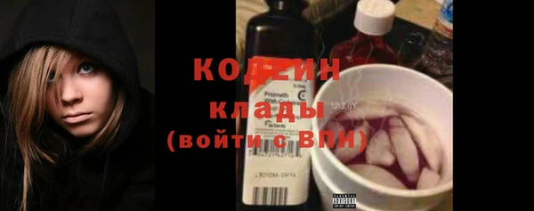 шишки Бородино