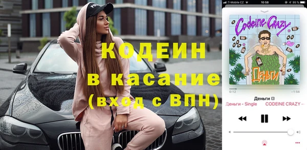 шишки Бородино