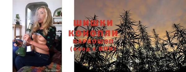 шишки Бородино