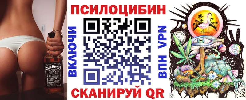 купить наркотик Нижний Новгород Псилоцибиновые грибы Psilocybe