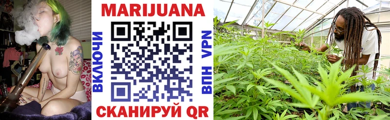 Канабис SATIVA & INDICA Нижний Новгород